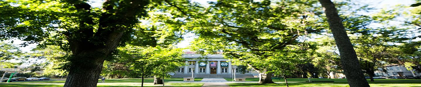 Colorado State University banner